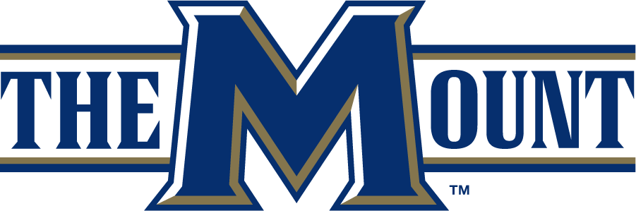 Mount St. Marys Mountaineers 2006-2016 Wordmark Logo v3 iron on transfers for clothing